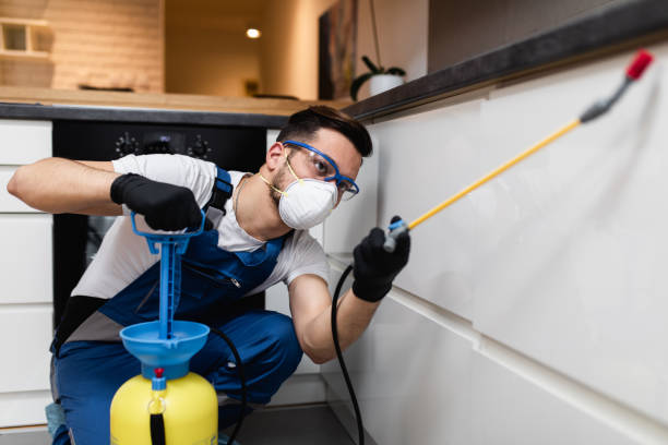 Best Rat Extermination Near Me  in Monte Alto, TX