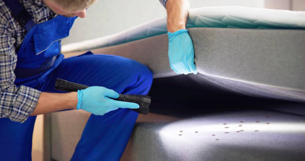 Best Flea Control Services  in Monte Alto, TX