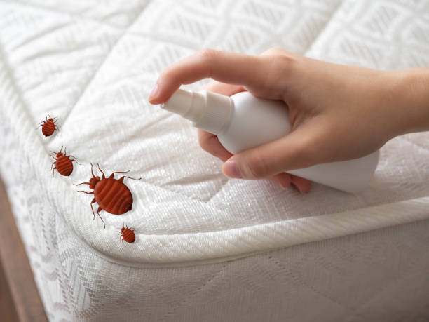 Best Pest Prevention Services  in Monte Alto, TX