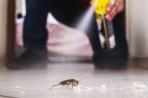 Best Residential Pest Control  in Monte Alto, TX